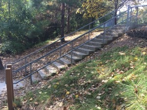 The existing steps represent an access barrier for bicycles, strollers and wheelchairs